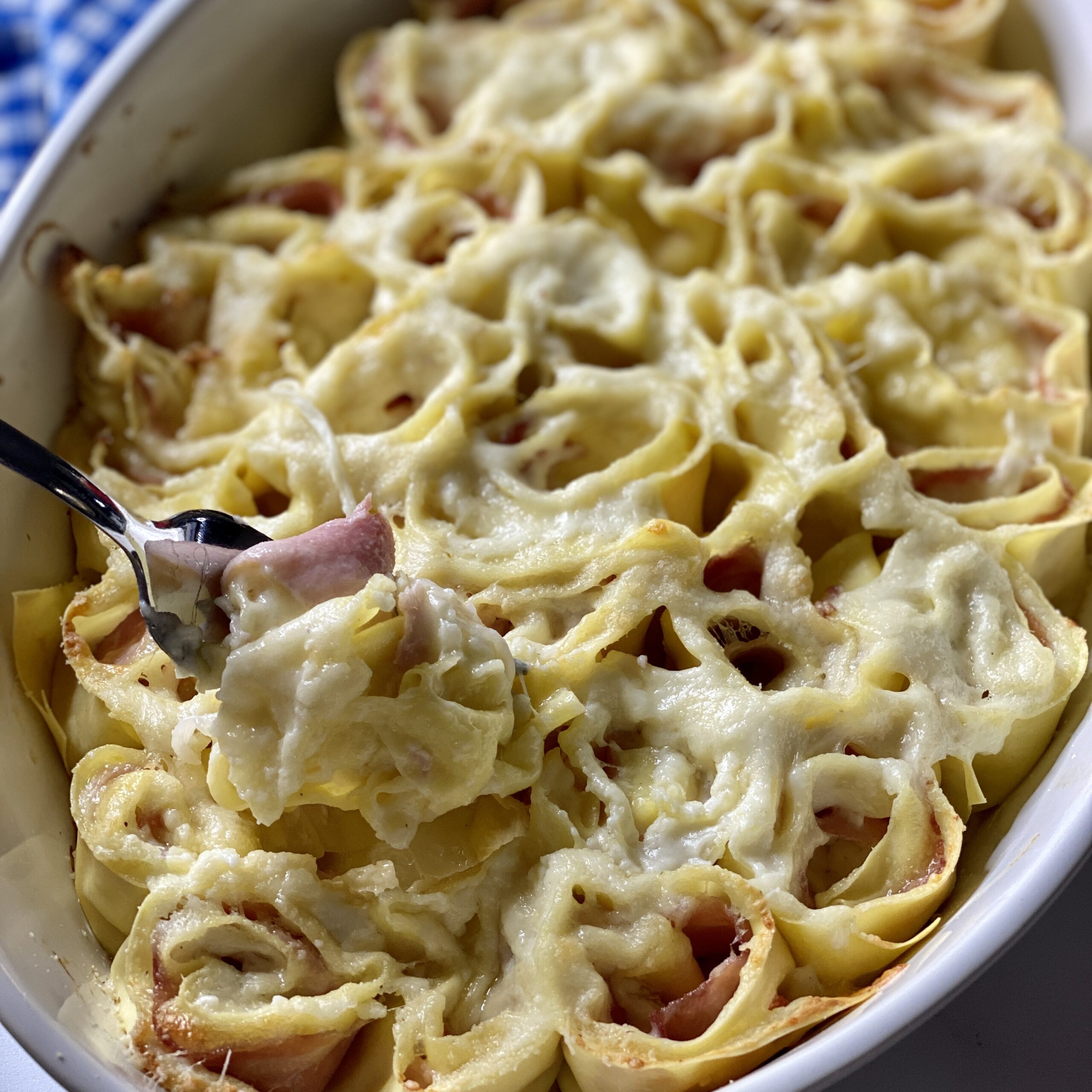 rose di lasagne con cotto e caciotta